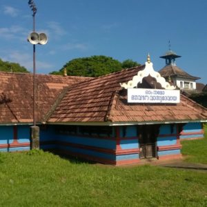 Sight-seeing in Kochi, Kerala