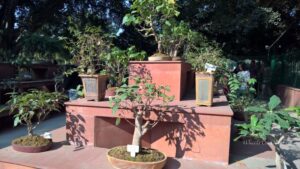 The Mughal Gardens, Rashtrapati Bhavan in Delhi, India