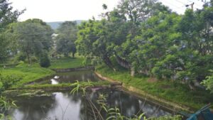 Sight-seeing-in-Shillong-