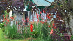 Shillong Holiday -- Itinerary