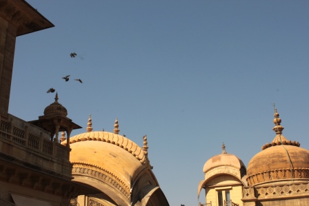 Destination #RannUtsav in Gujarat — Celebrating the Rann of Kutch