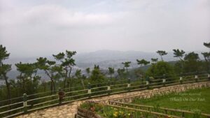 Day trip to Cherrapunjee from Shillong