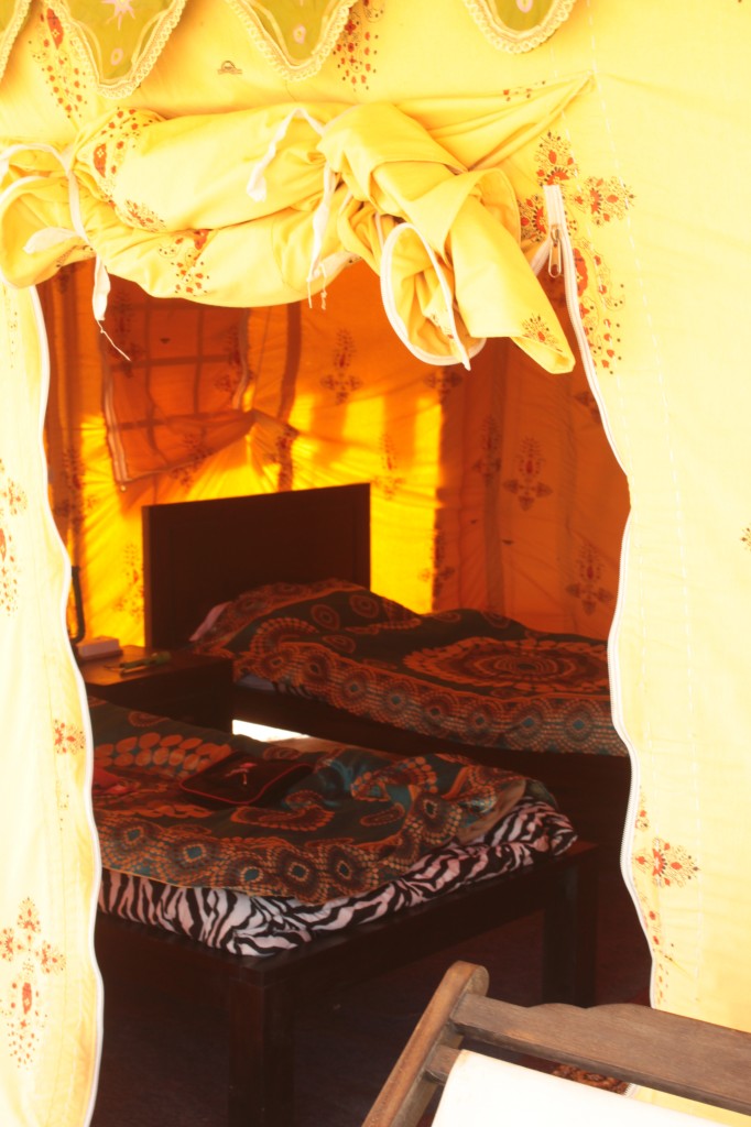 Destination #RannUtsav in Gujarat — Celebrating the Rann of Kutch