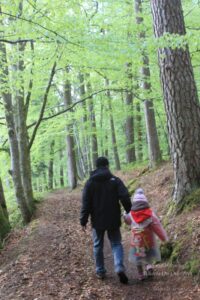 3-day Highlands & Isle of Skye Tour in Scotland