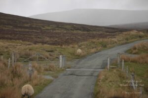 3-day Highlands & Isle of Skye Tour in Scotland