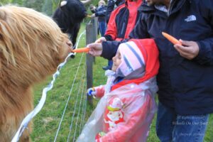 3-day Highlands & Isle of Skye Tour in Scotland