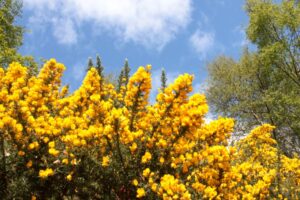 3-day Highlands & Isle of Skye Tour in Scotland