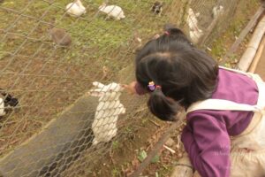 Sightseeing in Coorg, Karnataka (India)