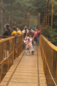 Sightseeing in Coorg, Karnataka (India)