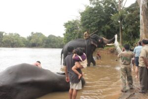 Sightseeing in Coorg, Karnataka (India)