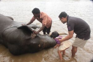 Sightseeing in Coorg, Karnataka (India)