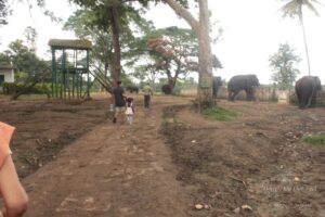 Sightseeing in Coorg, Karnataka (India)