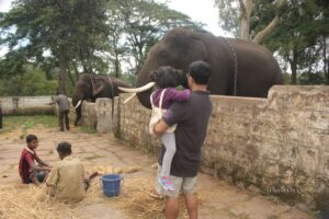 Sightseeing in Coorg, Karnataka (India)
