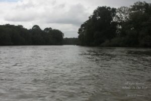 Sightseeing in Coorg, Karnataka (India)