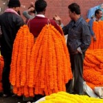 North Kolkata sight-seeing