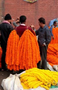 North Kolkata sight-seeing