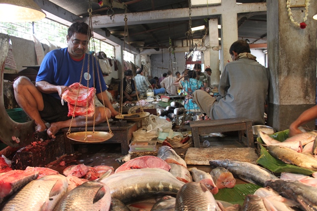 Kolkata Fish Market (4) - Wheels On Our Feet