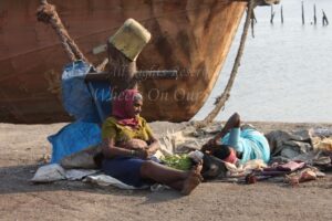 Flamingoes in Sewri Mudflat, Mumbai