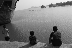 Flamingoes in Sewri Mudflat, Mumbai