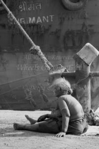 Flamingoes in Sewri Mudflat, Mumbai
