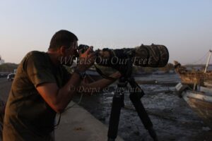 Flamingoes in Sewri Mudflat, Mumbai