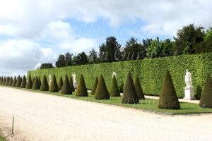 Gardens of the Chateau de Versailles