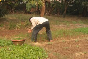 Mitali Homestay in Shantiniketan