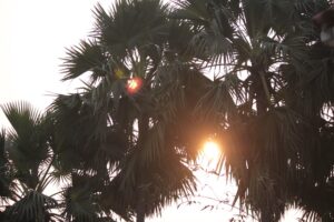 Mitali Homestay in Shantiniketan