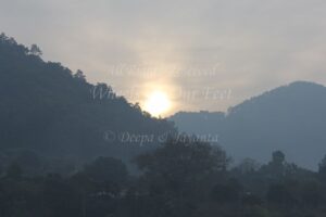 Review -- Solluna Resort in Jim Corbett