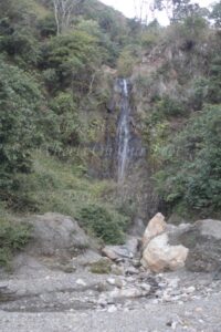 Review -- Solluna Resort in Jim Corbett