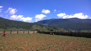 Chume Valley in Bhutan