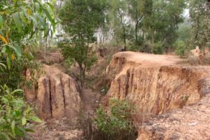 Sight-seeing in Shantiniketan -- Khoai