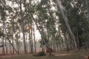 Touring Sonajhuri Gram in Shantiniketan