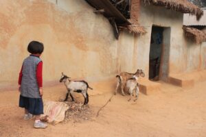 Touring Sonajhuri Gram in Shantiniketan
