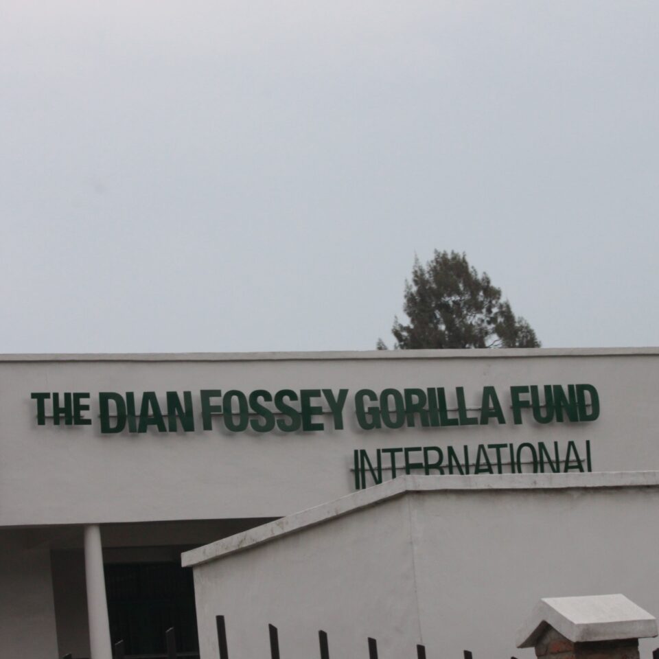 3 Things You Can Do When You Are in Gisenyi, Rwanda