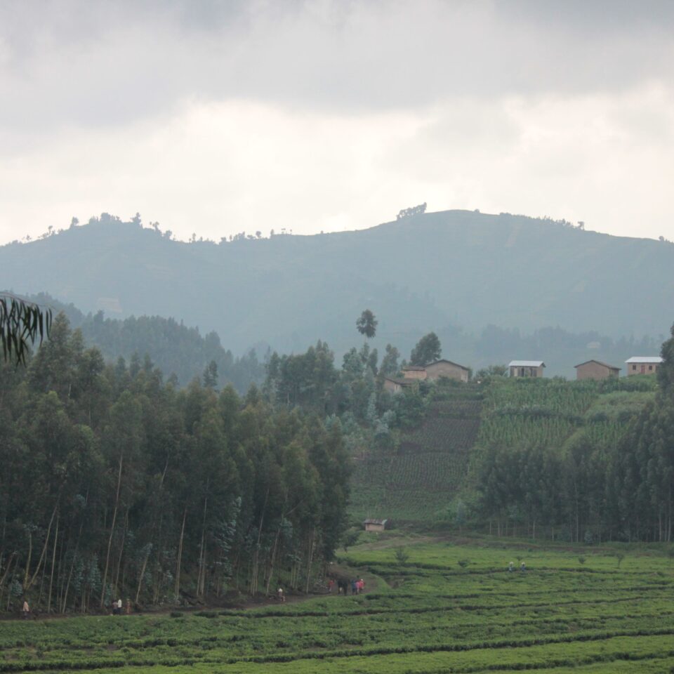 3 Things You Can Do When You Are in Gisenyi, Rwanda