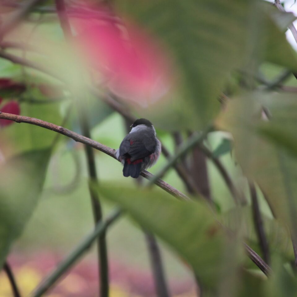 3 Things You Can Do When You Are in Gisenyi, Rwanda