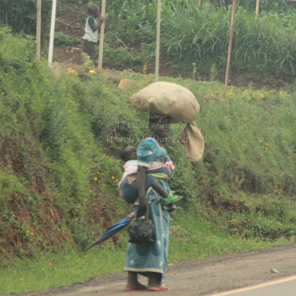 Drive from Kigali to Gisenyi, in Rwanda.