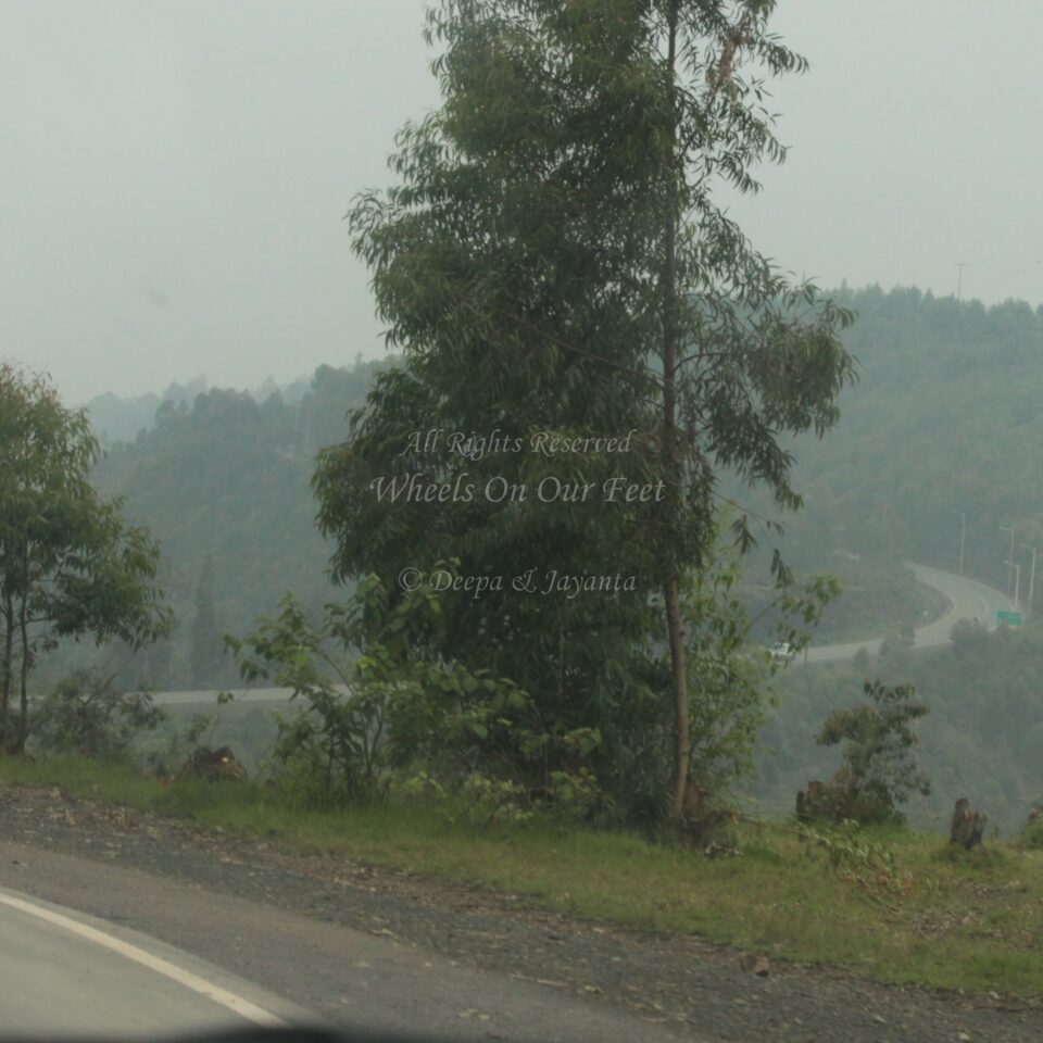 Drive from Kigali to Gisenyi, in Rwanda.