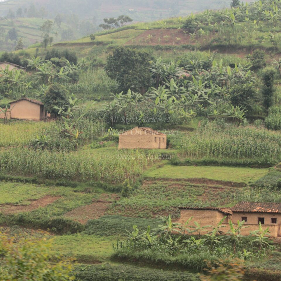 Drive from Kigali to Gisenyi, in Rwanda.