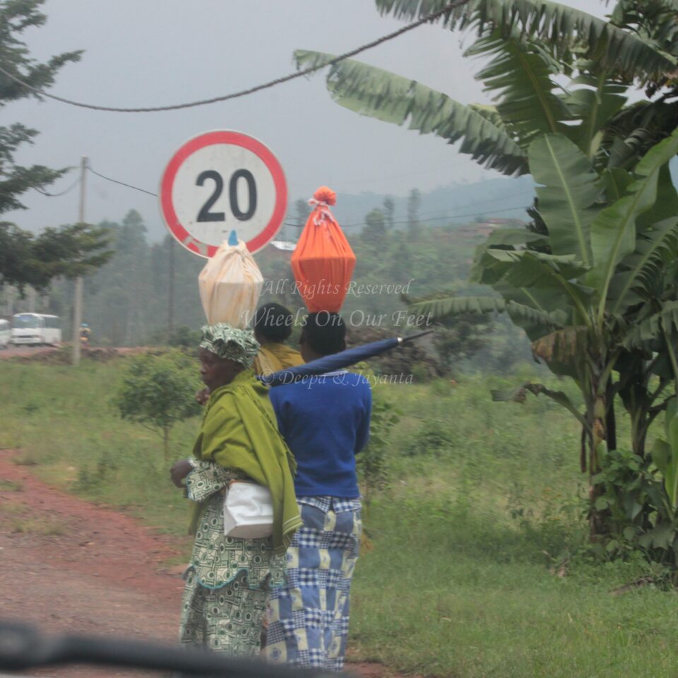 Drive from Kigali to Gisenyi, in Rwanda.
