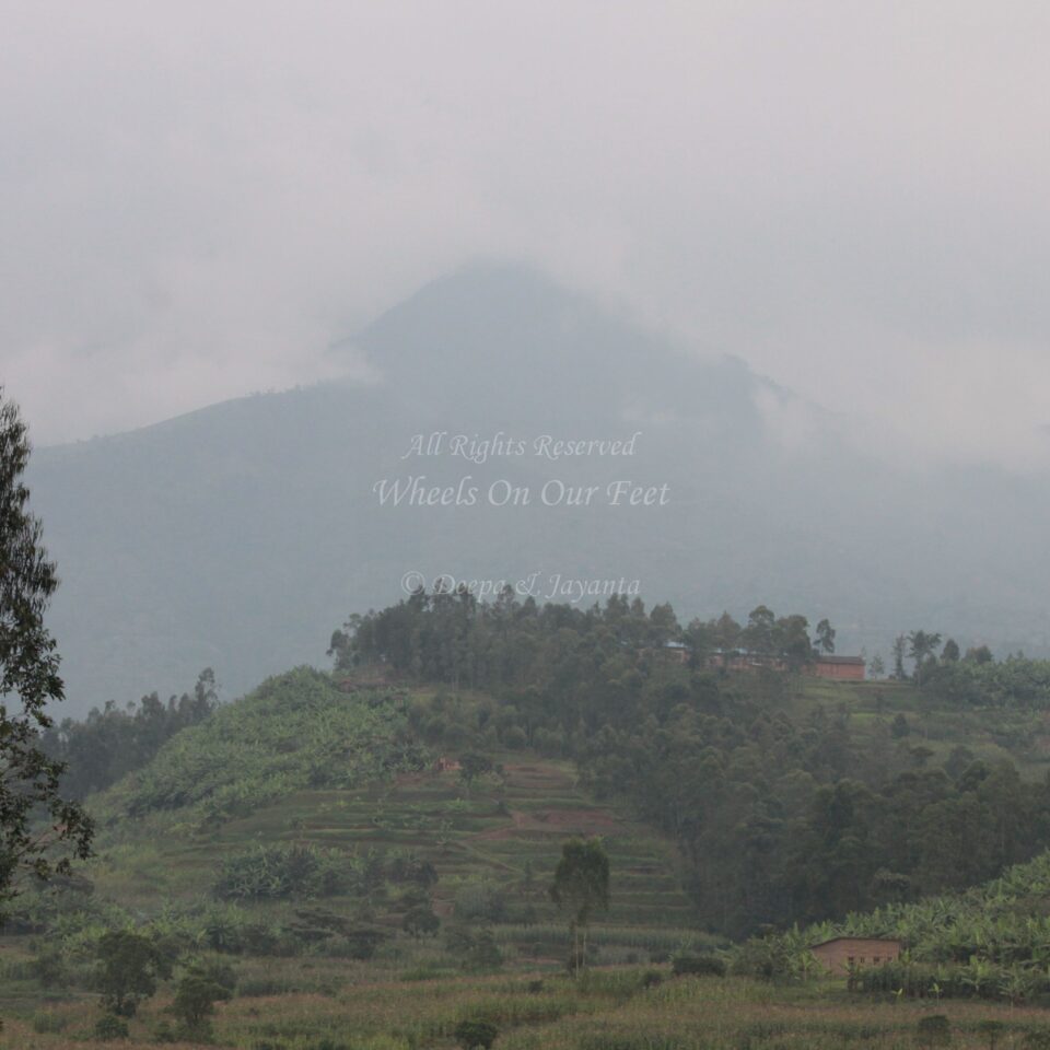 Drive from Kigali to Gisenyi, in Rwanda.