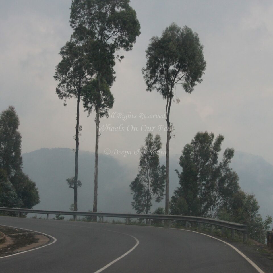 Drive from Kigali to Gisenyi, in Rwanda.