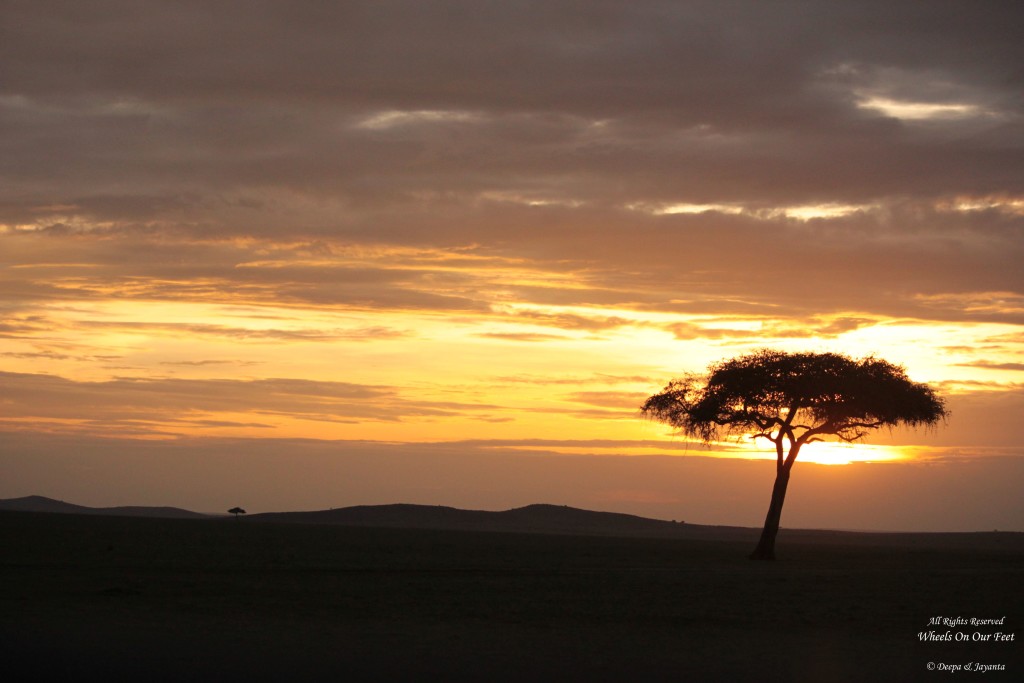 Maasai Mara Sunset Safari/Game Drive