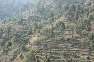 Jhaltola – 3rd Halt in our Uttarakhand Road-trip :Drive from Abbott Mount to Jhaltola