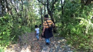 Stay at the Misty Mountains in Jhaltola, Uttarakhand