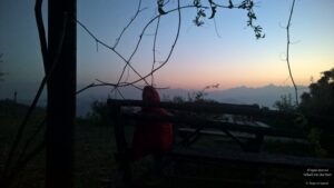 Stay at the Misty Mountains in Jhaltola, Uttarakhand