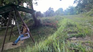 Stay at the Misty Mountains in Jhaltola, Uttarakhand