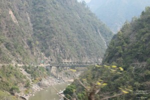The 2nd Halt in Uttarakhand Road-trip -- Abbott Mount: Drive from Jeolikote to Abbott Mount
