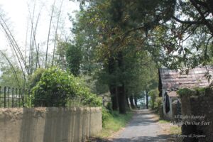 Things to do in Jeolikote, Uttarakhand